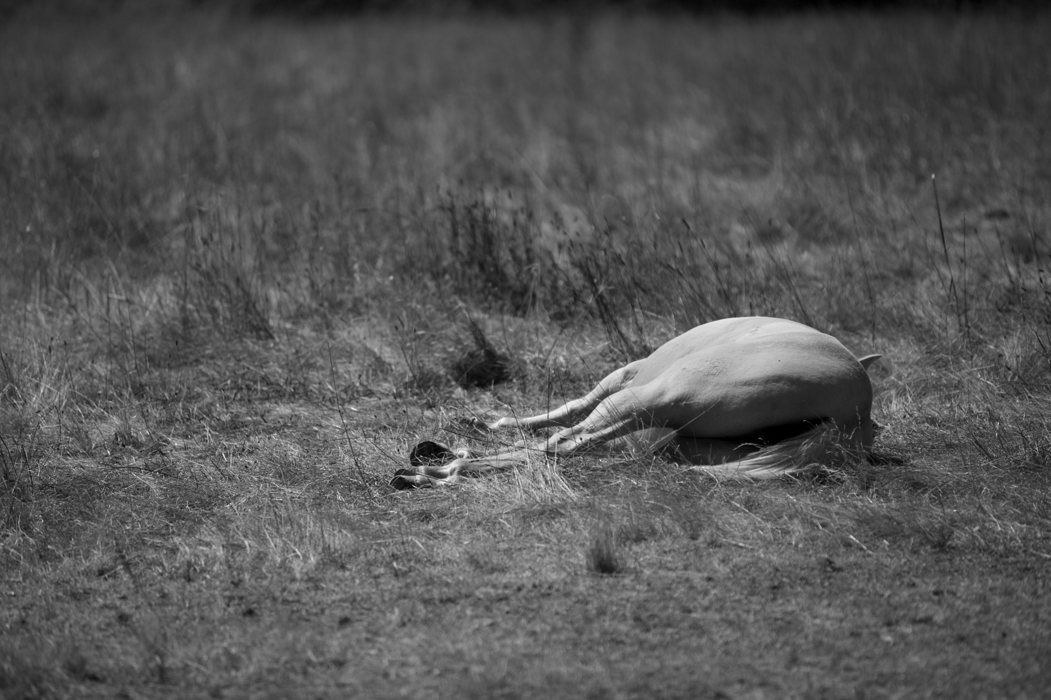 IMG_5641